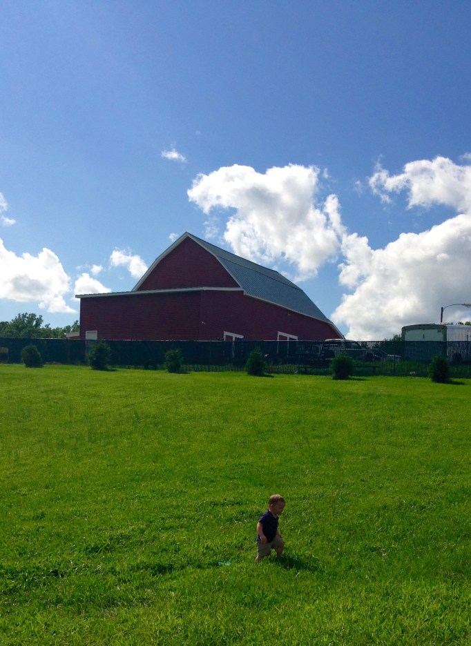 Photo shoot with grandson