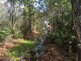 We were on all dry land the day before.