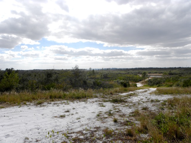 The TumbleLees View from the top of the ridge!