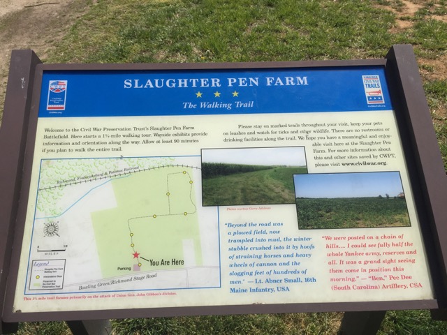 Orientation of the walk