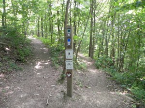 The TumbleLees Directional signage