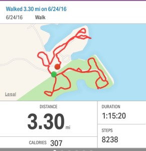 This was my longest walk. Very hilly, a wonderful challenging workout.