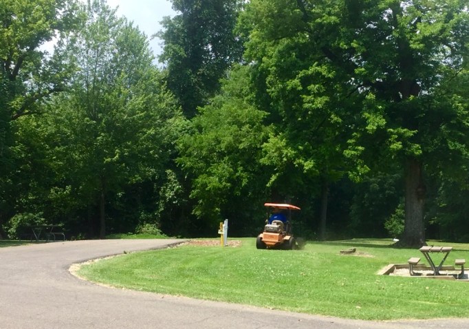 The TumbleLees Part of our welcome committee. Mowing the grass before we park.
