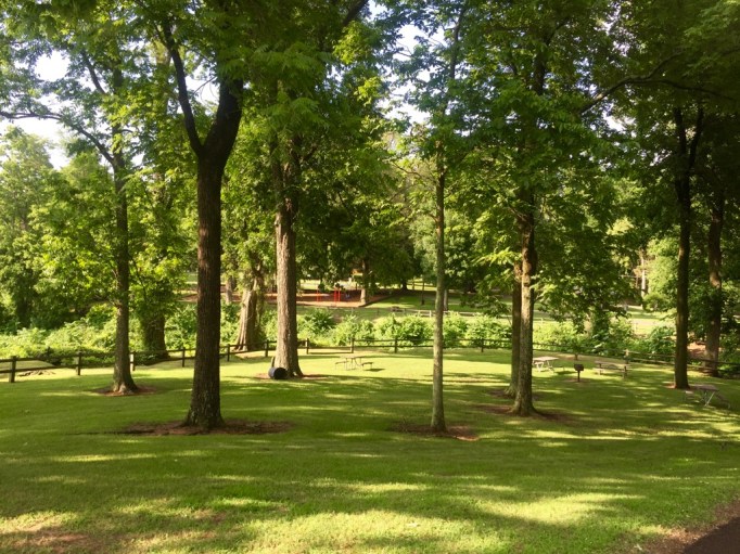 Can you see the playground? This is a wonderful family park with lots of shade and picnic tables. 