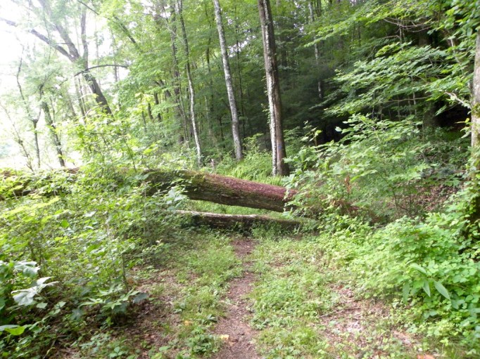 The TumbleLees End of the trail for us