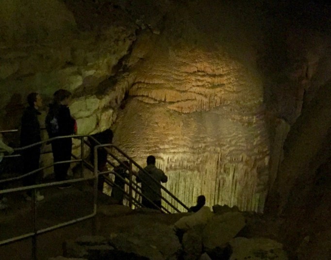 The TumbleLees IMG_4171