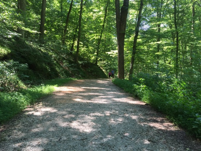 After the walk to the historic entrance, we continued down to the River Styx Spring Trail to the Green River. It's a good decent. 