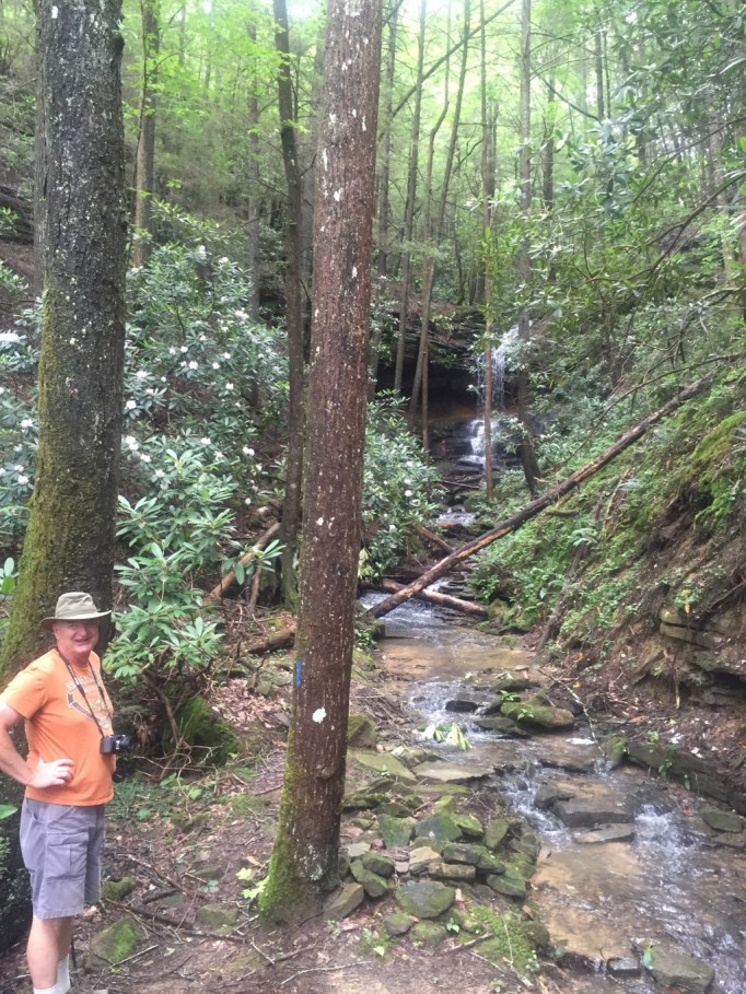 The TumbleLees IMG_4608