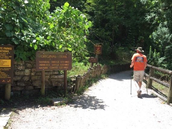 It was a beautiful walk to the actual trail head.