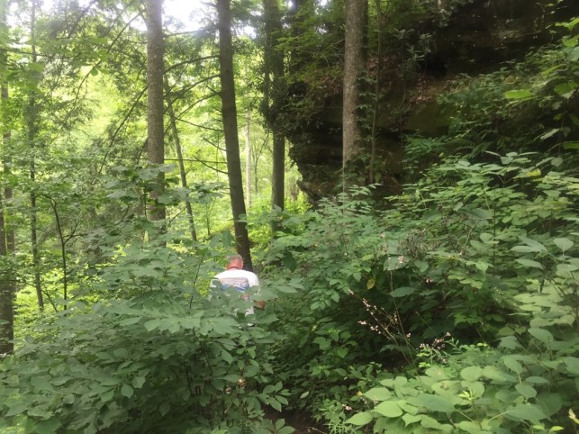 Yep, we're on an alleged trail....We have to watch every step as it was really "rough."