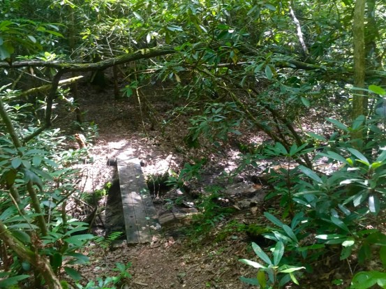 The trail was very diverse.