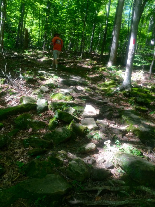 So the path changes and it is more like a hike by now