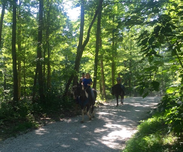 This family with two more, came to the park for the day. They rode to Devil's Backbone. 