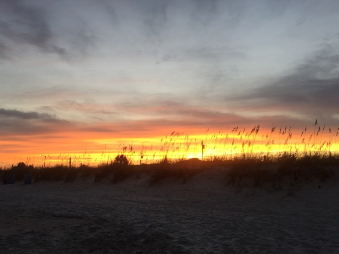 Looking west from the beach