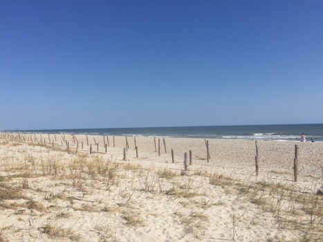 2016 How shocking to see no dunes, just the 