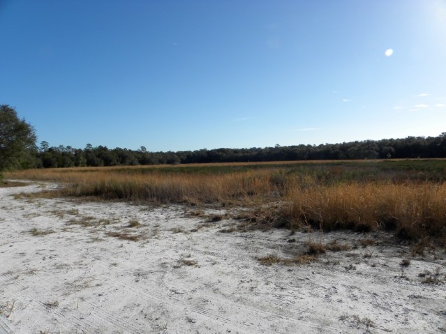 This is a prairie park after all, but we will hike around this which looks a bit like a sink hole!