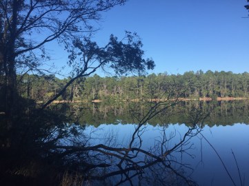 We loved our walks on a fabulous trail around this beautiful lake. It looked different every day but this was the best day!