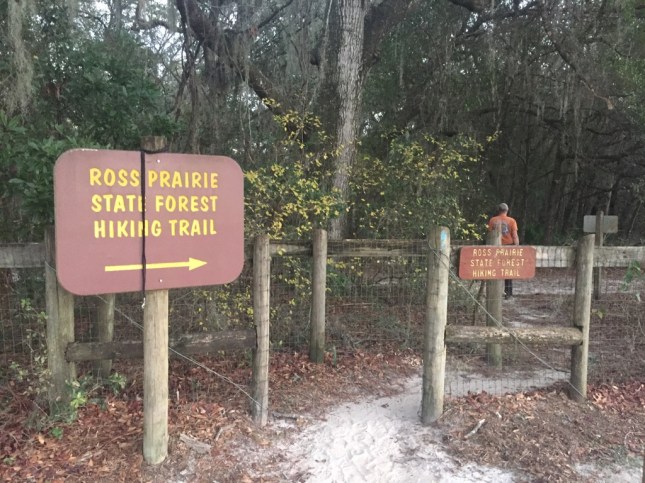 This is where the "blue" hatch mark hiking trail starts.