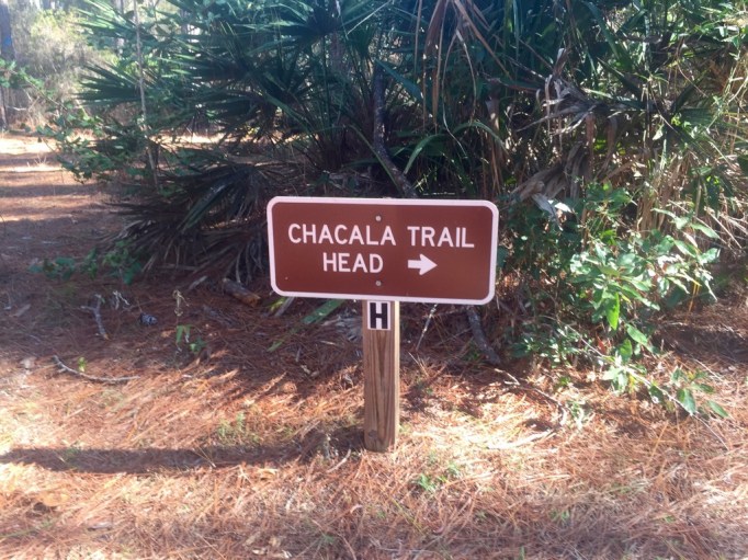 We never found the trail head.