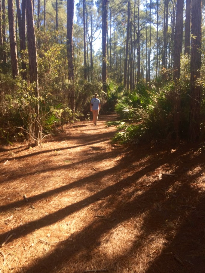 The trails were nice and flat. Some sun and shade!