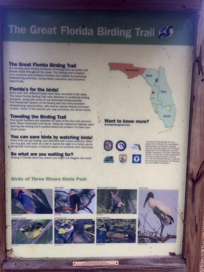 Educational poster on the trail. We hoped to see a variety of birds. Mainly saw cardinals and even a few blue birds.